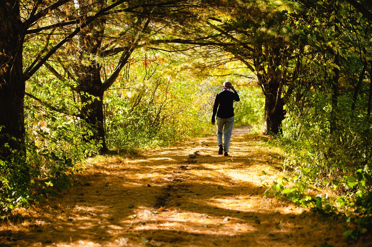 7 Best Hiking Trails for Seniors Near Essex, CT