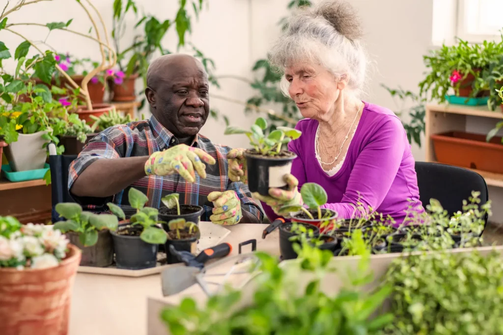 An elderly man and woman exploring the benefits of gardening for seniors at Essex Meadows In Essex, CT.
