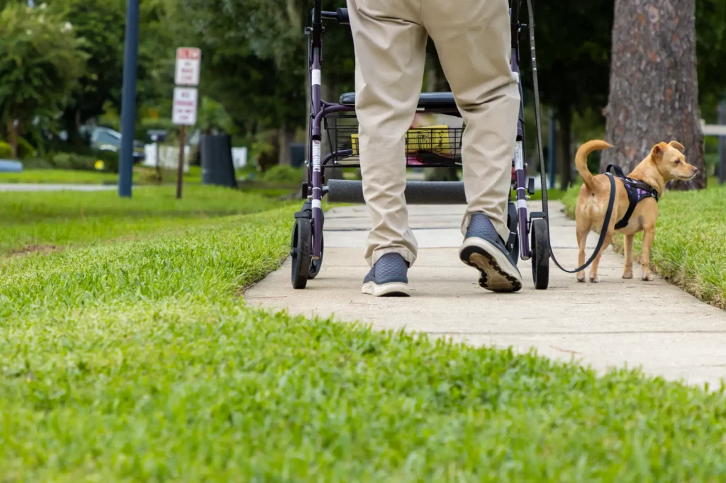 man with walker discovers benefits of owning a pet