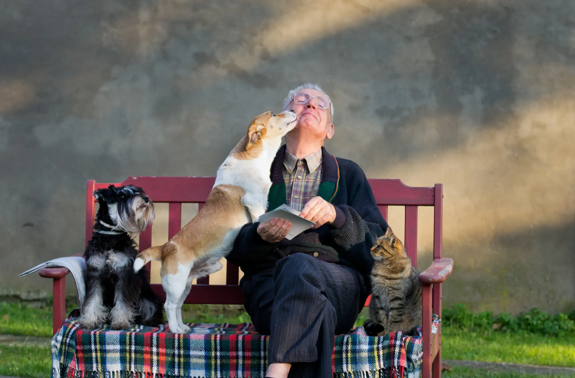 An elderly woman and her 2 dogs sitting on a bench while exploring Health Benefits of Owning a Pet for Seniors at Essex Meadows in CT.
