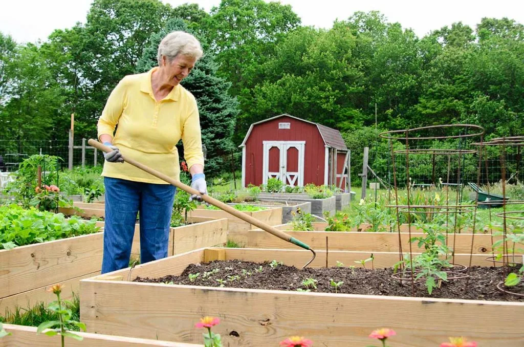 senior woman at Essex Meadows gardening